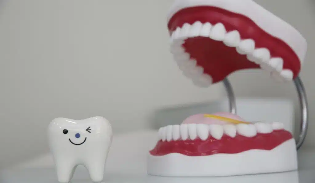 Gülümseyen diş ve diş eti yapısına sahip periodontik diş modeli